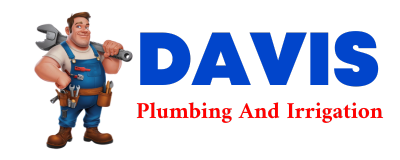 Trusted plumber in LA MONTE